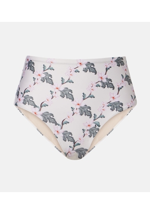 Agua by Agua Bendita Magenta floral bikini bottoms