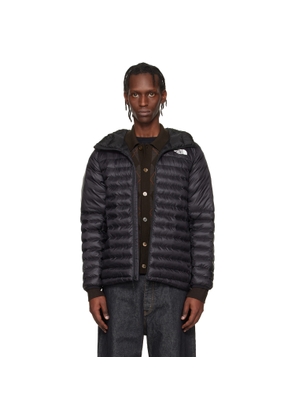 The North Face Black Terra Peak Jacket