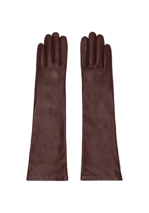 Handsome Stockholm Burgundy Essentials Long Gloves