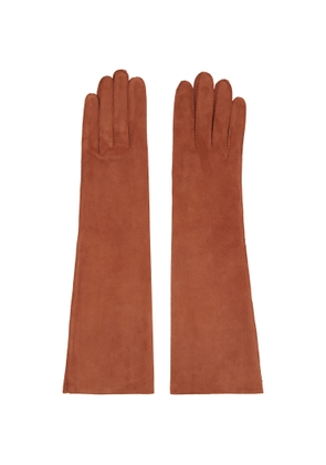 Lanvin Brown Long Slim Suede Gloves