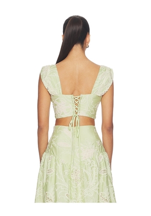 Especia Margarita Crop Top in Green. Size XS. Also in S, M, L, XL.