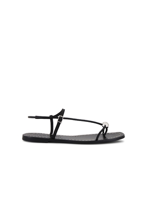 Loeffler Randall Lara Sandal in Black. Size 6. Also in 6.5, 7, 7.5, 8, 8.5, 9, 9.5, 10, 5.