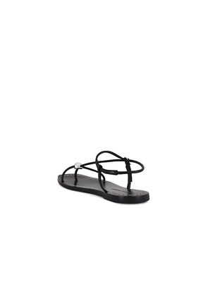 Loeffler Randall Lara Sandal in Black. Size 6. Also in 6.5, 7, 7.5, 8, 8.5, 9, 9.5, 10, 5.