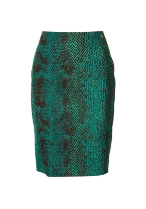 Versace Pre-Owned textured snakeskin-effect skirts - Green