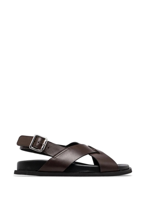 GUGLIELMO ROTTA Twill Ranch buckle-fastening crossover-strap sandals - Brown