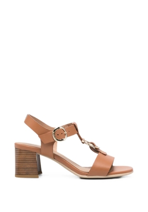 NERO GIARDINI buckle-fastening leather sandals - Brown