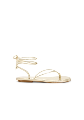 RAYE Zabel Sandal in Metallic Gold. Size 5.5. Also in 6, 6.5, 7, 7.5, 8, 8.5, 9, 9.5, 10.