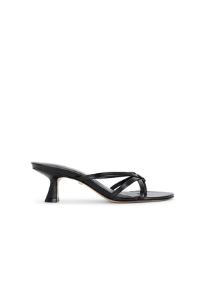 RAYE Lola Sandal in Black. Size 5.5. Also in 6, 6.5, 7, 7.5, 8, 8.5, 9, 9.5, 10.