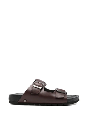 Cult Scorpion 4781 buckle-fastening leather sandals - Brown