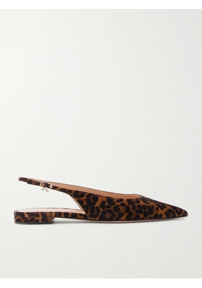 Gianvito Rossi - Robbie Animal-print Suede Slingback Flats - Animal Print - IT35,IT36,IT36.5,IT37,IT37.5,IT38,IT38.5,IT39,IT39.5,IT40,IT40.5,IT41,IT41.5,IT42
