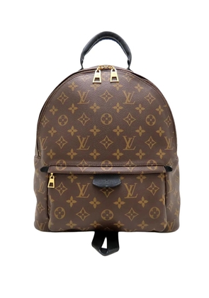 Louis Vuitton Pre-Owned 2020 Monogram Palm Springs MM backpack - Brown