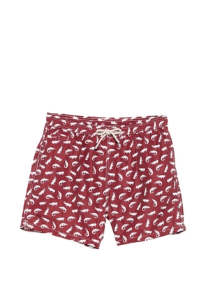 MC2 Saint Barth alligator-print drawstring swim shorts - Red