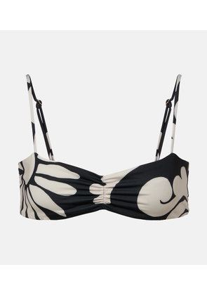 Cala de la Cruz Lilo printed bikini top
