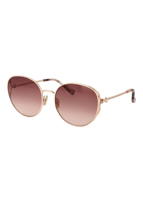 Ted Baker Bicolor Metal Sunglasses