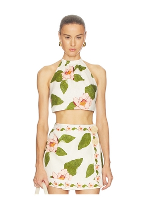 Cara Cara Dahlia Top in Cream. Size L. Also in M, S, XL, XS.