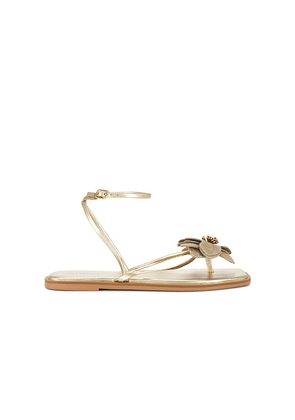 Free People Mismatch Magnolia Sandal in Metallic Gold. Size 10. Also in 9.