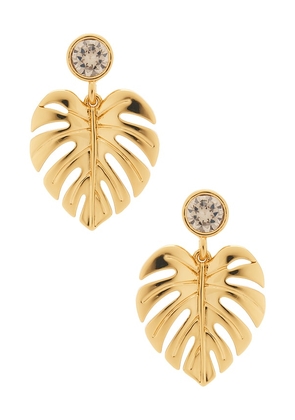Frasier Sterling Beverly Earrings in Metallic Gold.