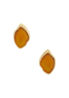 Ettika Molten Treasure Stud Earrings in Metallic Gold.
