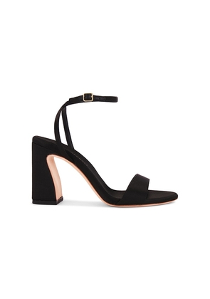 Loeffler Randall Malia Heel in Black. Size 7. Also in 8, 8.5, 9.
