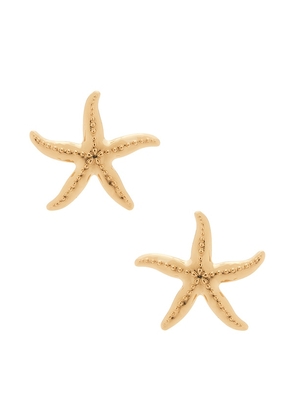 BaubleBar Starfish Earrings in Metallic Gold.