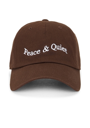Museum of Peace and Quiet Wordmark Dad Hat in Grey.