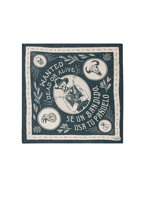 Sendero Provisions Co. Dead Or Alive Scarf in Teal.