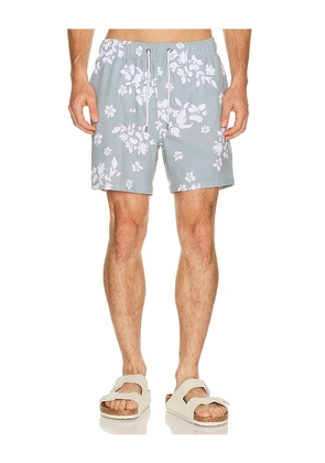 Vintage Summer Seersucker Strech Volley Swim Trunks in Green. Size L. Also in S, M, XL/1X, XXL/2X.