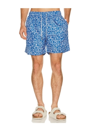 Vintage Summer Ponji Swim Volleys in Blue. Size L. Also in S, M, XL/1X, XXL/2X.