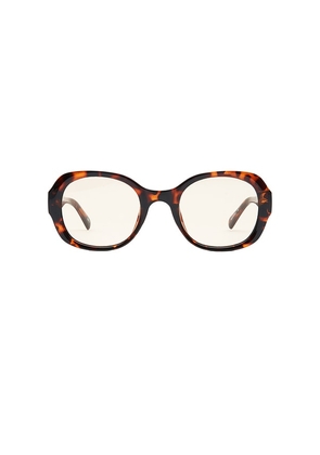 Otra Darcy Sunglasses in Brown.