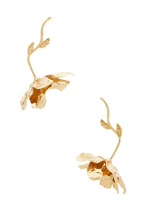 Lovers and Friends Holland Earrings in Metallic Gold.