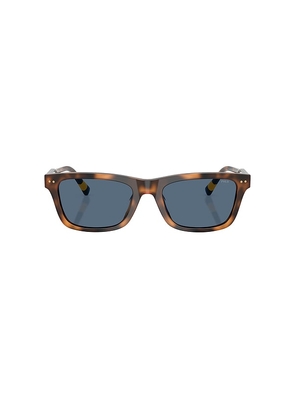 Polo Ralph Lauren Pillow Sunglasses in Brown.