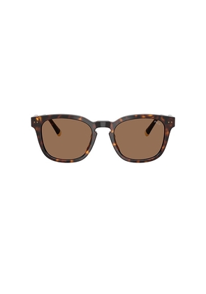 Polo Ralph Lauren Square Sunglasses in Brown.