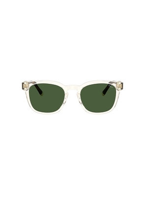 Polo Ralph Lauren Square Sunglasses in Brown.