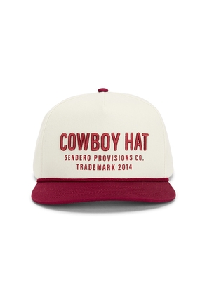 Sendero Provisions Co. Cowboy Hat Panel Hat in Cream.