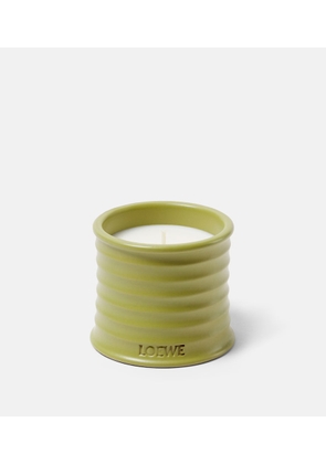 Loewe Home Scents Pistachio Small scented candle