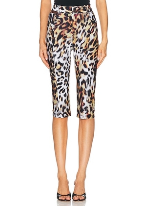 Norma Kamali Pedal Pusher Capri Pant in Urban Animal - Brown. Size S (also in XS).
