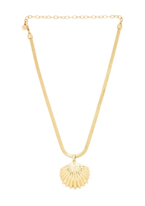 Ettika Herringbone Shell Necklace in Metallic Gold.