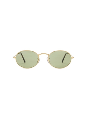 Ray-Ban Oval Sunglasses in Brown.