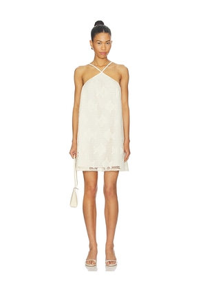 Steve Madden Petunia Dress in Neutral. Size S. Also in XS, M, L, XL.