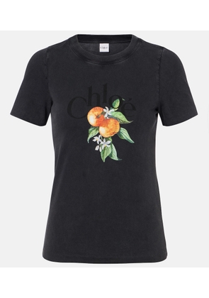 Chloe Printed cotton T-shirt