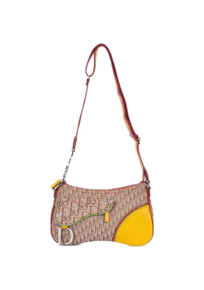 Christian Dior Pre-Owned Rasta Trotter Double Saddle cross body bag - Neutrals