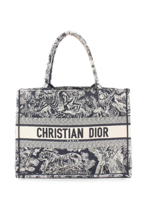 Christian Dior Pre-Owned 2010s medium Book Tote Toile-de-Jouy-pattern tote bag - Blue