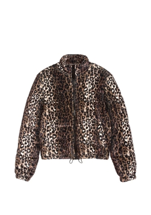 Juicy Couture leopard-print velour jacket - Brown