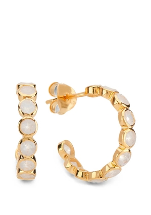 AUREE JEWELLERY Ortigia hoop earrings - Gold