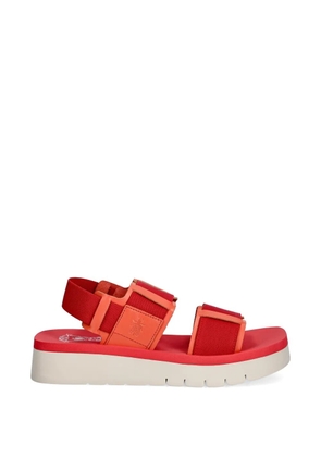Fly London touch-strap platform sandals - Red