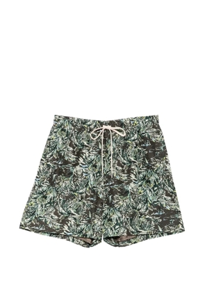 Auralee printed silk shorts - Brown