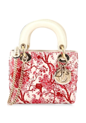 Christian Dior Pre-Owned Lady Dior Chain Bag Embroidered Calfskin Mini satchel