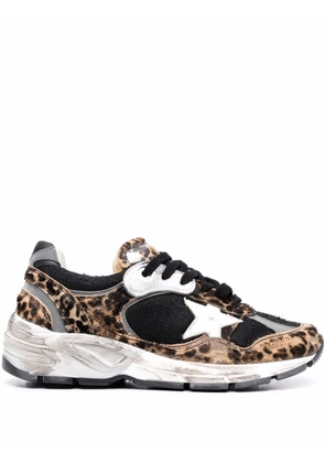 Golden Goose Running Sole leopard-patterned sneakers - Brown