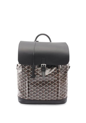 Goyard Pre-Owned 2010s Alpan MM backpack - Brown
