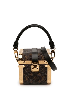 Louis Vuitton Pre-Owned 2021-2026 Sea Treasure Monogram Satin Treasure Box satchel - Brown